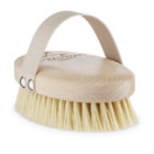 dry brushing