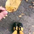 Buoni motivi per amare l'autunno