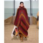 Poncho